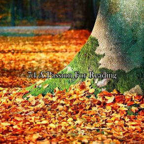 Download track Lost In The Forest Music For Reading