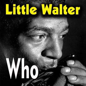 Download track Nobody But You Little Walter