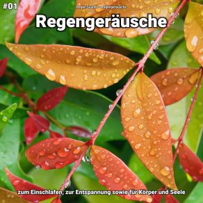 Download track Regengeräusche, Pt. 16 Regengeräusche