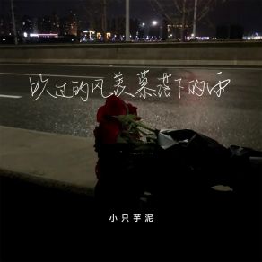 Download track 吹过的风羡慕落下的雨 (伴奏) 小只芋泥