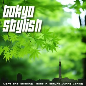 Download track Serene Skyline Glow Tokyo Stylish