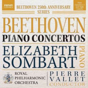 Download track 16. Concerto For Piano, Violin And Cello In C Major, Op. 56 -Triple-- I. Allegro Ludwig Van Beethoven