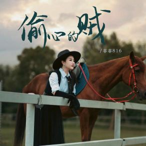 Download track 偷心的贼 (伴奏) 菲菲816