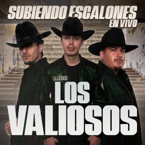 Download track Los Fletes (En Vivo) Los Valiosos