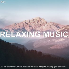 Download track Relaxing On The Beach Relaxing Music Therapy