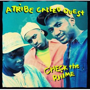 Download track Skypager A Tribe Called Quest