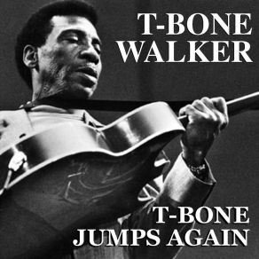 Download track Vida Lee T - Bone Walker