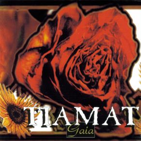 Download track Whatever That Hurts (Video Edit) Tiamat