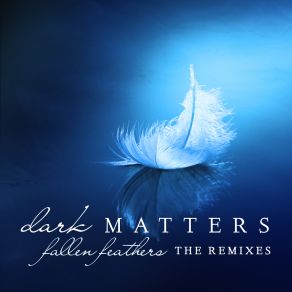 Download track Take Me Home (Sir Adrian & Jibberdee Remix) Dark MattersDenise Rivera