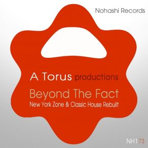 Download track Beyond The Fact (NY Zone Delight) A Torus