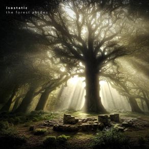 Download track Deep Roots Isostatic