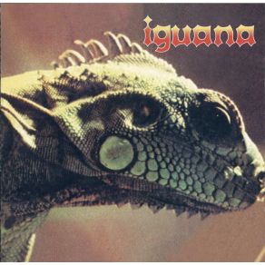 Download track I Don'T Need No Buddy Iguana