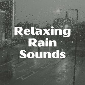 Download track Gentle Raindrops, Pt. 12 Relaxing Rain