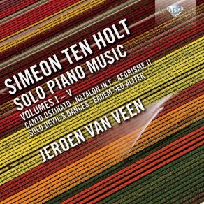 Download track Solo Devil's Dance II - Section 1 Jeroen Van Veen, Simeon Ten Holt