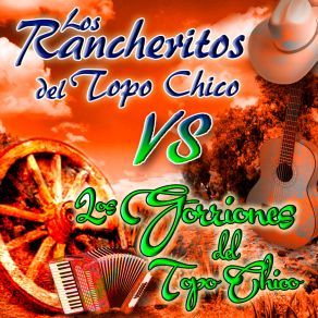 Download track Virgen De Mi Soledad Los Gorriones De Topo Chico