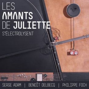 Download track Naoto Benoît Delbecq, Serge Adam