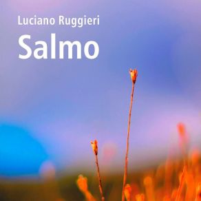 Download track Romeiro Ao Lonxe Luciano Ruggieri