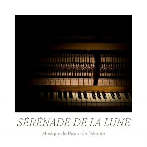 Download track Lenvol Du Cygne Musique De De Détente