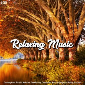 Download track Ancestral Tibetan Meditation Relaxing Music Therapy