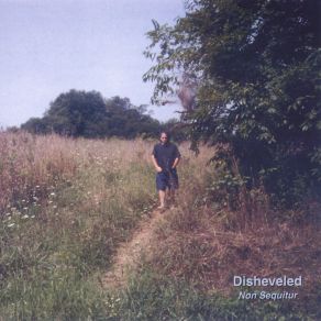 Download track Ashland Disheveled