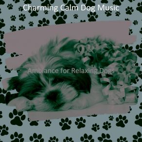 Download track Spectacular Music For Calming Pups Charming Calm Dog Music