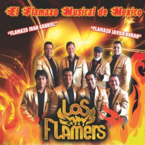 Download track Javier Duran Los Flamers