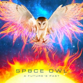 Download track Solitary Steps Sp8ce Owl