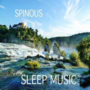 Download track Dolphins (Original Mix) Spinous