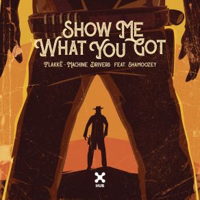 Download track Show Me What You Got (Extended Mix) Shamoozey