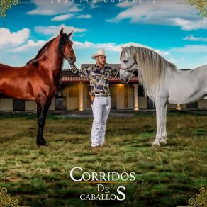 Download track Caballo De Patas Blancas Abraham González