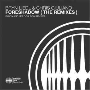 Download track Foreshadow (Emata Extended Remix) Bryn Liedl