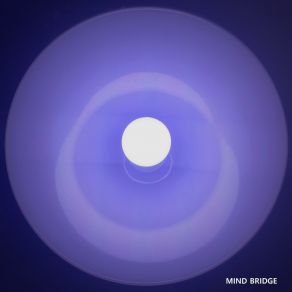 Download track Moonlit Serenade Mind Bridge