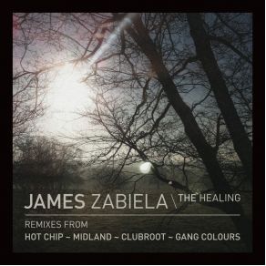 Download track The Healing (Original Mix) James Zabiela