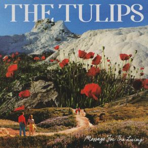 Download track Disco Heart The Tulips