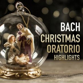 Download track Christmas Oratorio, BWV 248, Cantata 1: Choral: Wie Soll Ich Dich Empfangen (Chorus) Philippe Herreweghe, Ghent, Orchestra Of Collegium VocaleChorus Of Collegium Vocale