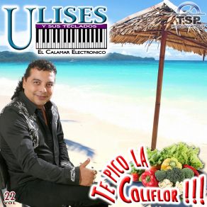 Download track El Chicle Ulises El Calamar Electronico