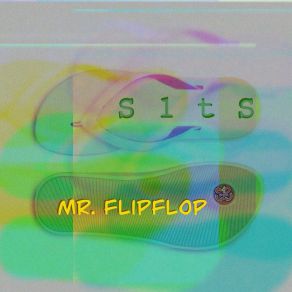 Download track Mr. FlipFlop S1tS