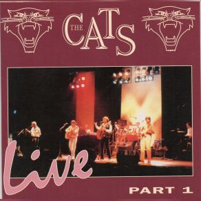 Download track A Room Full Of Tears The Cats