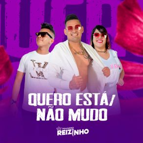 Download track Quero Está / Não Mudo Nando Reizinho