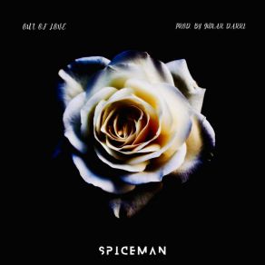 Download track All The Girls Are The Same SpicemanBirkir Blær