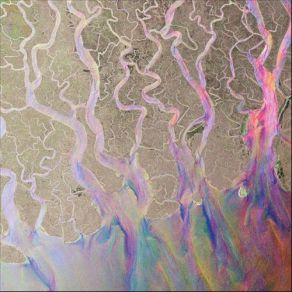 Download track Tessellate (SARM Acoustic Version) Alt - J