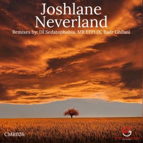 Download track Neverland (MR EFFLIX Remix) JoshlaneMr. Efflix