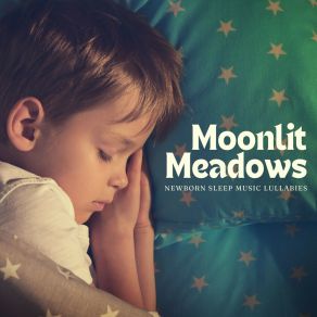 Download track Gentle Dreams Newborn Sleep Music Lullabies