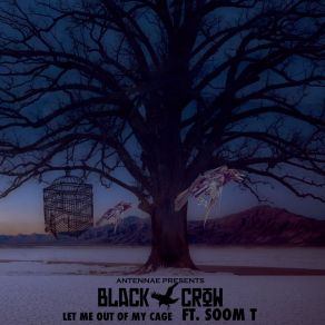 Download track Let Me Out Of My Cage Black Crow