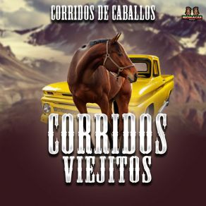 Download track Abrazado De Un Poste Corridos De Caballos