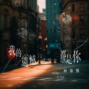 Download track 我的遗憾都是你 (伴奏) 向思悦