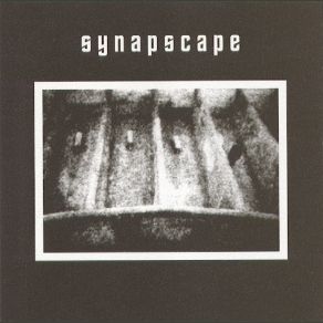 Download track My Turn Synapscape