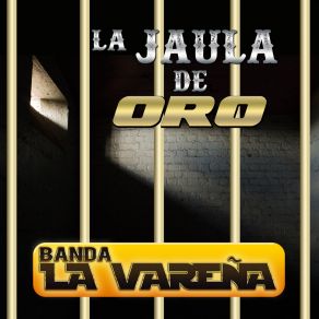 Download track La Reginita (En Vivo) Banda La Vareña