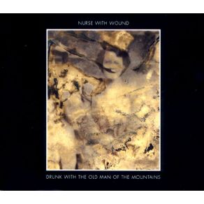 Download track Sheela - Na - Gig Nurse With Wound