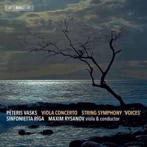 Download track Concerto For Viola & String Orchestra I. Andante Maxim Rysanov, Sinfonietta Riga